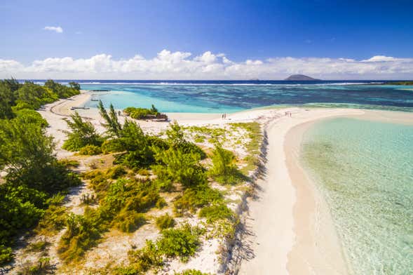 Excursión a Isla Gabriel en catamarán