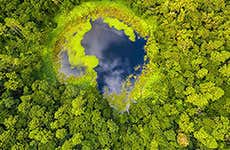 Guía de Isla Mauricio