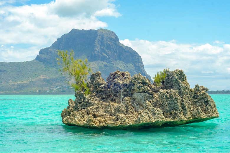 Crystal Rock